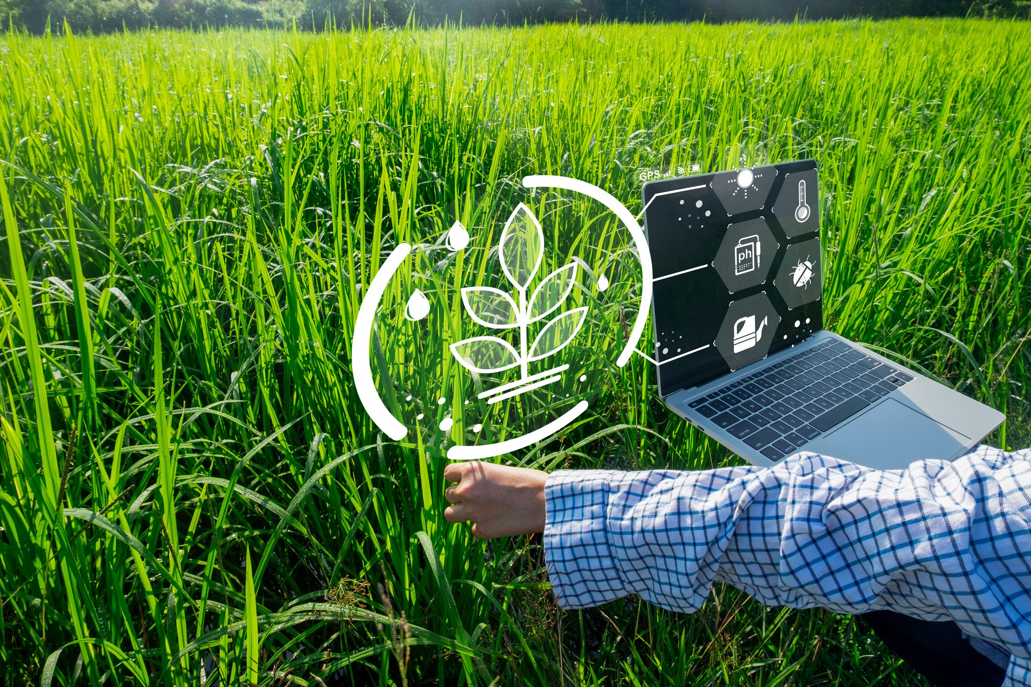 Farmer Using Laptop with Smart Farming Technology Icons in Rice Field Farmer on a computer in the field